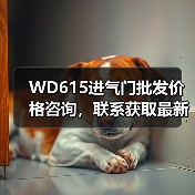 WD615进气门批发价格咨询，联系获取最新报价（图2）