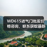 WD615进气门批发价格咨询，联系获取最新报价（图3）