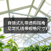 自锁式扎带选购指南：尼龙扎线带规格尺寸对比（图3）