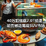 40万起搭载2.0T插混,能否撼动高端SUV市场?(图4) 40万起搭载2.0T插混,能否撼动高端SUV市场?(图4)