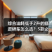 综合油耗低于2升的插混轿车怎么选?5款必看推荐(图4) 综合油耗低于2升的插混轿车怎么选?5款必看推荐(图4)