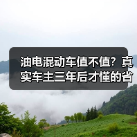 油电混动车值不值?真实车主三年后才懂的省油秘密(图2) 油电混动车值不值?真实车主三年后才懂的省油秘密(图2)
