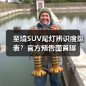 至境SUV尾灯辨识度爆表?官方预告图首曝(图2) 至境SUV尾灯辨识度爆表?官方预告图首曝(图2)