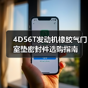 4D56T发动机橡胶气门室垫密封件选购指南（图1）