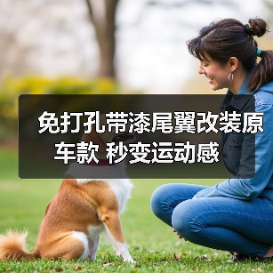 免打孔带漆尾翼改装原车款 秒变运动感（图3）