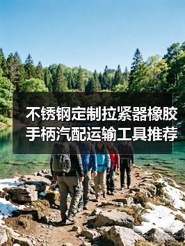 不锈钢定制拉紧器橡胶手柄汽配运输工具推荐（图4）