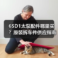 6SD1太泵配件哪里买?原装拆车件供应指南(图1) 6SD1太泵配件哪里买?原装拆车件供应指南(图1)