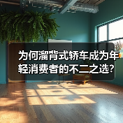 为何溜背式轿车成为年轻消费者的不二之选?(图4) 为何溜背式轿车成为年轻消费者的不二之选?(图4)