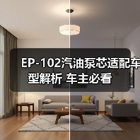 EP-102汽油泵芯适配车型解析 车主必看（图4）