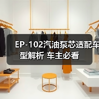 EP-102汽油泵芯适配车型解析 车主必看（图3）