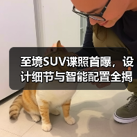 至境SUV谍照首曝,设计细节与智能配置全揭秘(图4) 至境SUV谍照首曝,设计细节与智能配置全揭秘(图4)