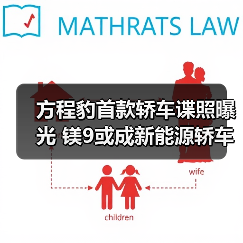 方程豹首款轿车谍照曝光 镁9或成新能源轿车新挑战（图2）