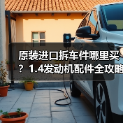 原装进口拆车件哪里买?1.4发动机配件全攻略(图3) 原装进口拆车件哪里买?1.4发动机配件全攻略(图3)