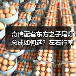 奇瑞配套东方之子尾灯总成如何选？左右行李箱灯更换指南（图2）