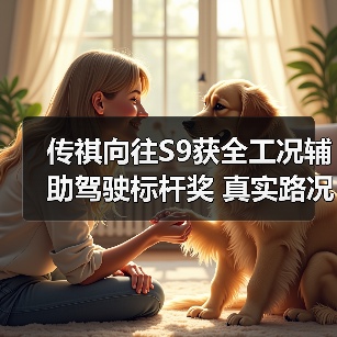 传祺向往S9获全工况辅助驾驶标杆奖 真实路况如何表现?(图3) 传祺向往S9获全工况辅助驾驶标杆奖 真实路况如何表现?(图3)