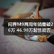 问界M9两周年销量破26万 46.98万起售能否称王？（图4）