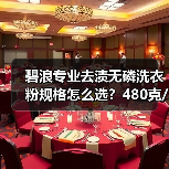 碧浪专业去渍无磷洗衣粉规格怎么选？480克/1.7千克/2.8千克推荐（图1）
