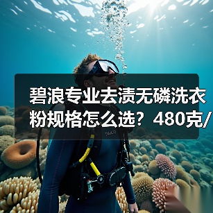 碧浪专业去渍无磷洗衣粉规格怎么选？480克/1.7千克/2.8千克推荐（图2）