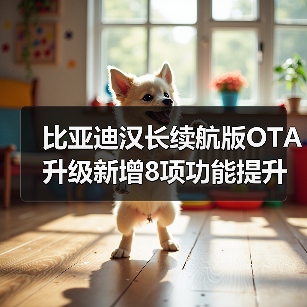 比亚迪汉长续航版OTA升级新增8项功能提升智驾体验（图4）