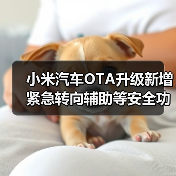 小米汽车OTA升级新增紧急转向辅助等安全功能（图2）