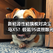 新能源性能旗舰对决宝马X5？极氪9S谍照曝光（图4）