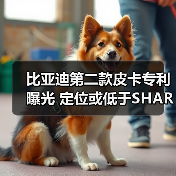 比亚迪第二款皮卡专利曝光 定位或低于SHARK（图3）