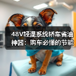 48V轻混系统轿车省油神器：购车必懂的节能技术解析（图1）