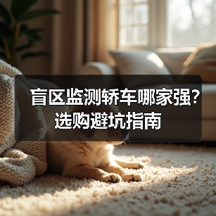 盲区监测轿车哪家强？选购避坑指南（图3）