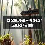盲区监测轿车哪家强？选购避坑指南（图4）