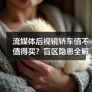 流媒体后视镜轿车值不值得买？盲区隐患全解析（图4）