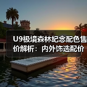 U9极境森林纪念配色售价解析：内外饰选配价详解（图4）