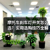 摩托车刹车灯开关怎么选？实用选购技巧全解析（图4）