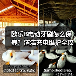 欧乐B电动牙刷怎么保养？清洁充电维护全攻略（图2）