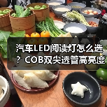 汽车LED阅读灯怎么选？COB双尖透管高亮度长寿命灯泡推荐（图1）