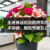 全速自适应巡航轿车技术突破：智能驾驶怎么实现？（图2）