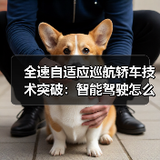 全速自适应巡航轿车技术突破：智能驾驶怎么实现？（图4）