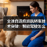全速自适应巡航轿车技术突破：智能驾驶怎么实现？（图3）