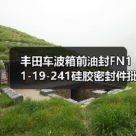 丰田车波箱前油封FN11-19-241硅胶密封件批发（图3）