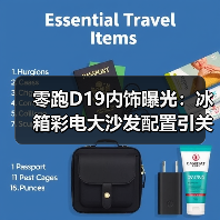 零跑D19内饰曝光：冰箱彩电大沙发配置引关注（图4）