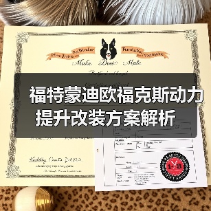 福特蒙迪欧福克斯动力提升改装方案解析（图1）