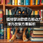 福特蒙迪欧福克斯动力提升改装方案解析（图4）