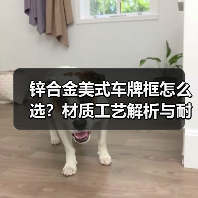 锌合金美式车牌框怎么选？材质工艺解析与耐用性对比（图1）