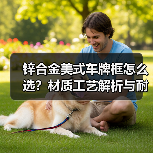 锌合金美式车牌框怎么选？材质工艺解析与耐用性对比（图2）