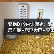 零跑D19内饰曝光：双层座舱+悬浮大屏+零重力座椅，豪华配置全解析（图2）