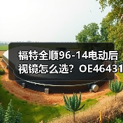 福特全顺96-14电动后视镜怎么选？OE4643117（图3）