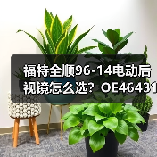 福特全顺96-14电动后视镜怎么选？OE4643117（图4）