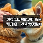 魏牌蓝山智能进阶版智驾升级：VLA大模型如何提升驾驶体验？（图4）