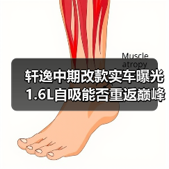 轩逸中期改款实车曝光 1.6L自吸能否重返巅峰？（图4）
