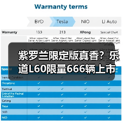 紫罗兰限定版真香？乐道L60限量666辆上市（图1）