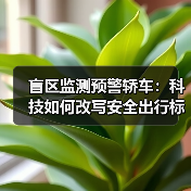 盲区监测预警轿车：科技如何改写安全出行标准（图3）